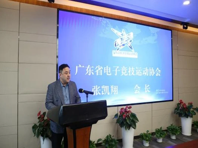 广东省电子竞技运动协会第二次会员大会暨换届大会在穗圆满举行